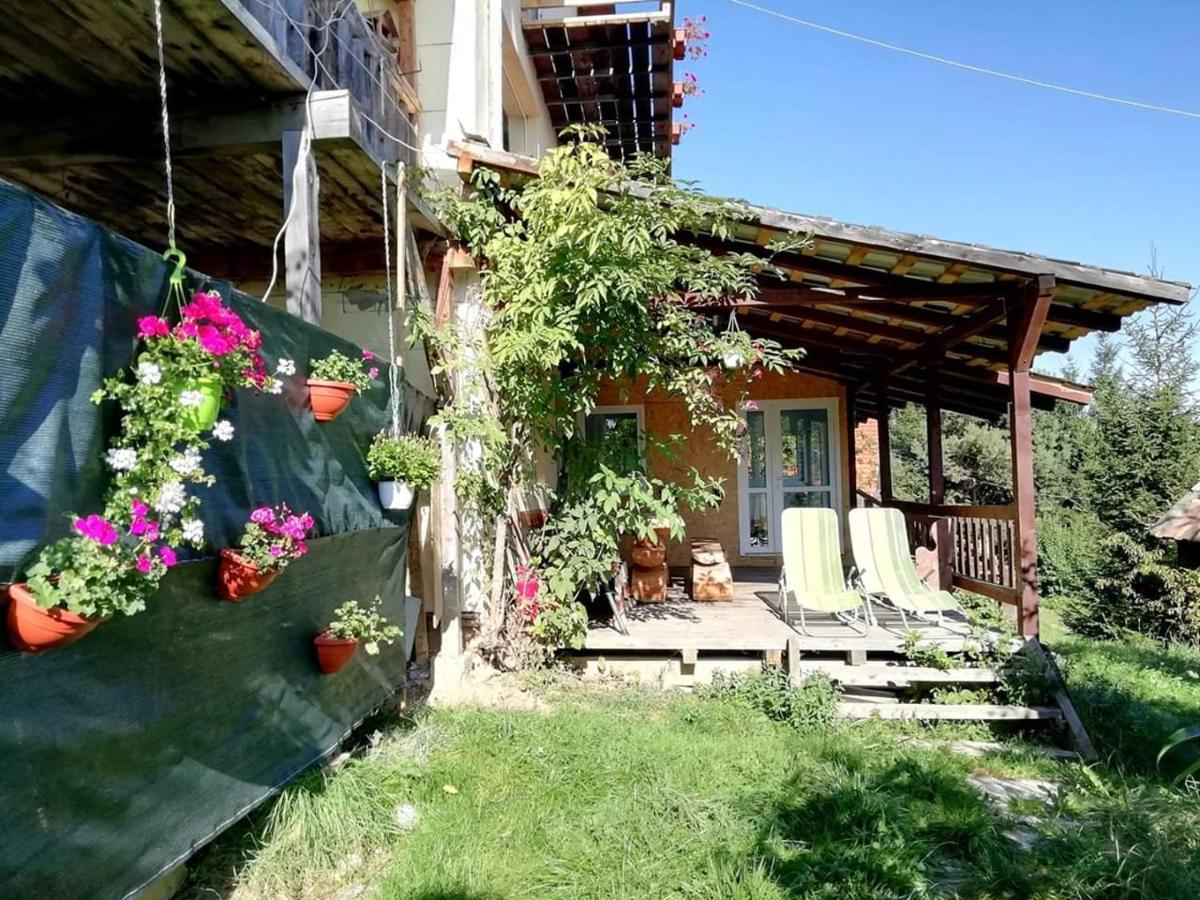 Casa De Sub Padure Hotel Bran  Exterior foto